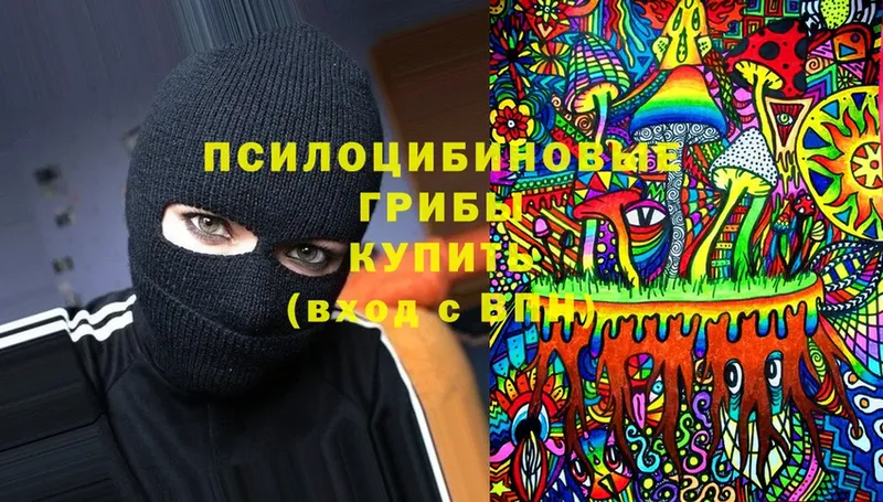 Псилоцибиновые грибы Magic Shrooms  Белая Холуница 